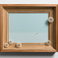 Viewpoints small