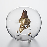 Volare Campanarius small