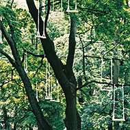 Angel's Swing small